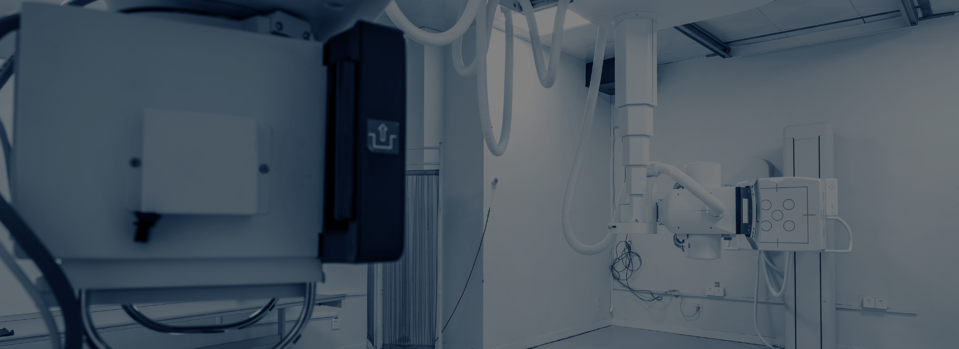 Fetal Medicine Services