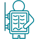 Fetal Medicine Services
