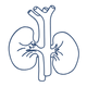 CT Urography